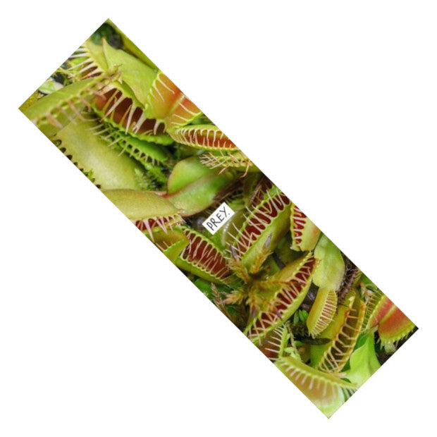 PREY Flowers Griptape
