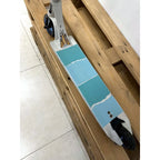 Used TITANIUM Custom Scooter - Tbilisi, ProScooter.Shop